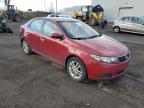 KIA FORTE EX photo