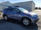 HONDA CR-V EX photo