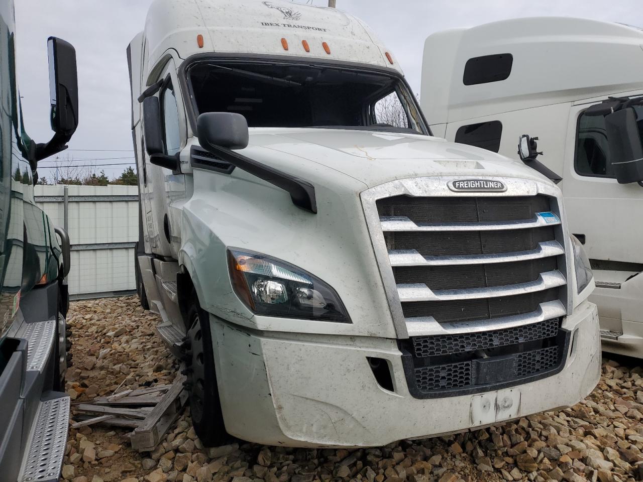 Lot #3034366091 2019 FREIGHTLINER CASCADIA 1