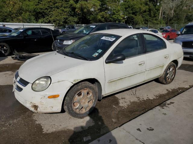 2005 DODGE NEON SXT #3034303076