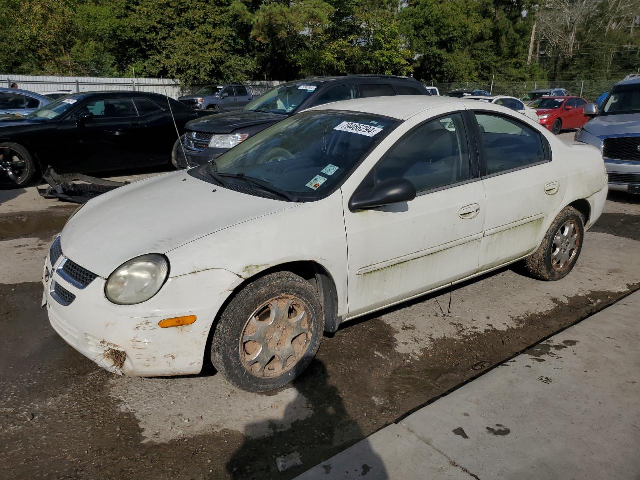 Lot #3034303076 2005 DODGE NEON SXT