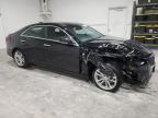 Lot #3033433100 2024 CADILLAC CT4 LUXURY