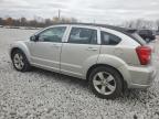 DODGE CALIBER MA photo