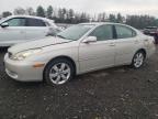 Lot #3024660669 2005 LEXUS ES 330