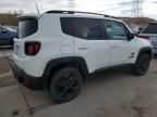 Lot #3023838899 2021 JEEP RENEGADE S