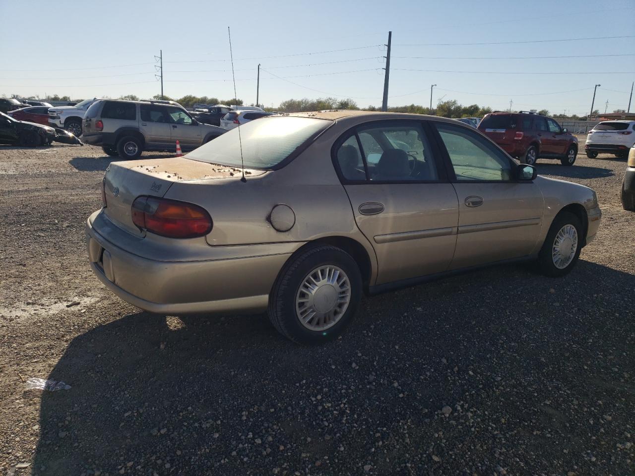 Lot #2977056900 2003 CHEVROLET MALIBU