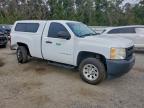 Lot #3303885779 2010 CHEVROLET SILVERADO