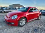 Lot #3304787328 2013 VOLKSWAGEN BEETLE