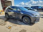 Lot #3304715939 2024 LEXUS NX 250 PRE