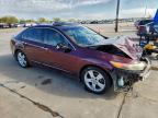 Lot #3303715418 2010 ACURA TSX