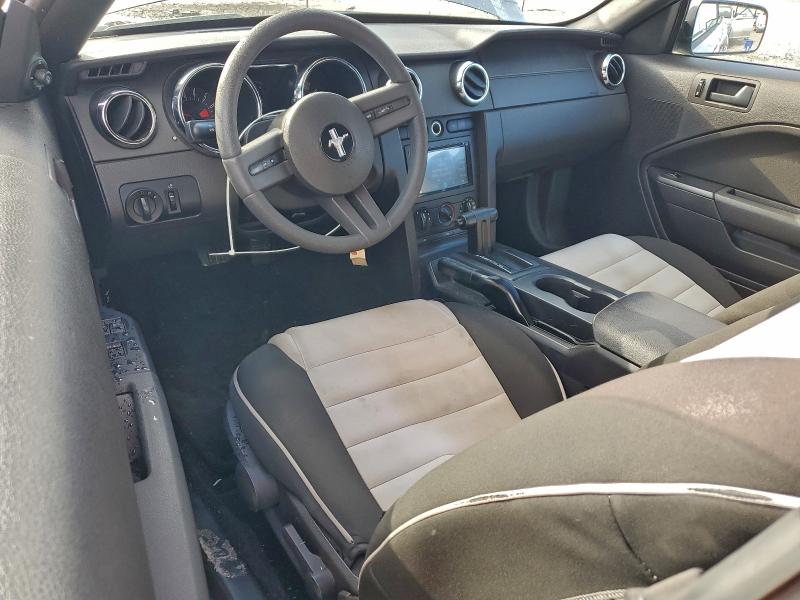 2005 FORD MUSTANG #3303707538