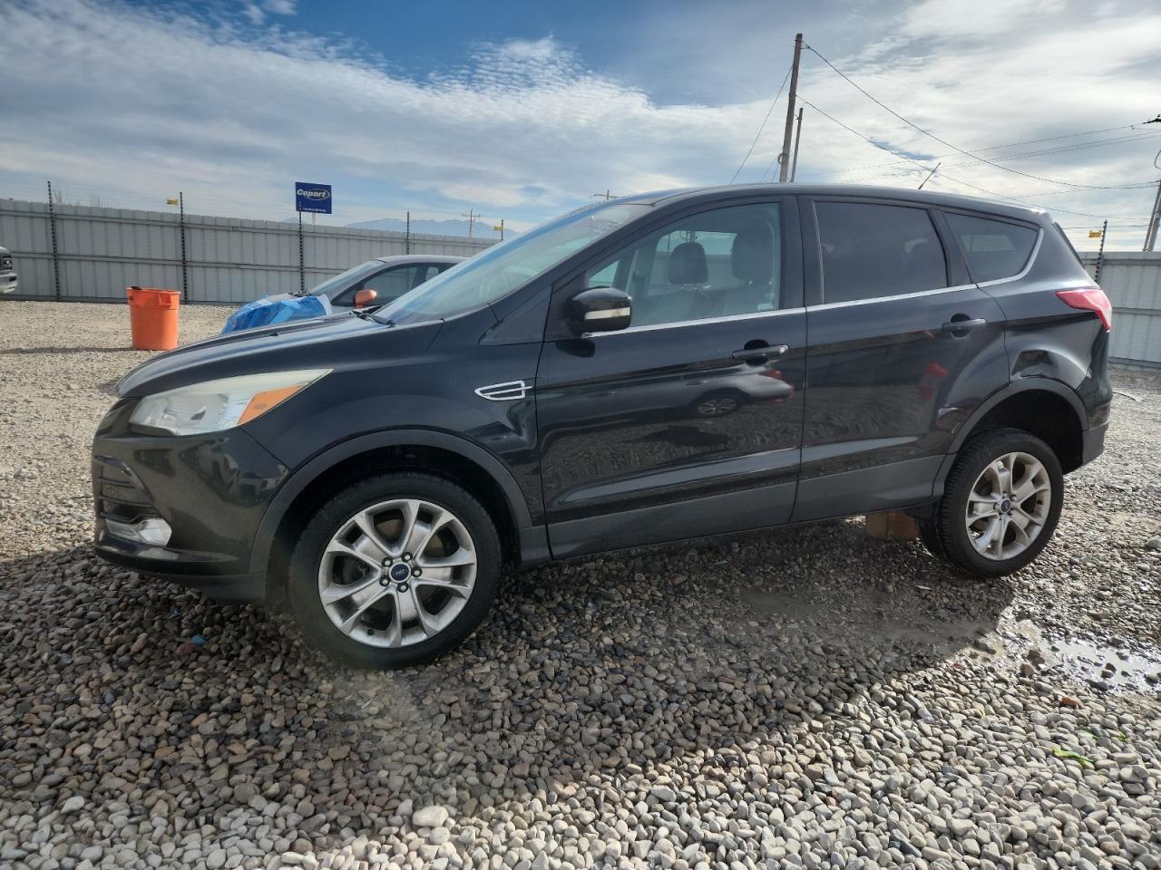 Lot #3309788324 2013 FORD ESCAPE SEL