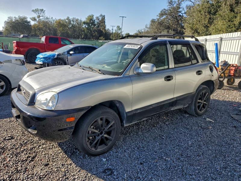 Global Auto Auctions: 2004 HYUNDAI SANTA FE G