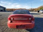 Lot #3303796434 2003 CHEVROLET CAVALIER