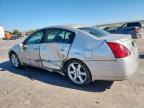 Lot #3294399535 2005 NISSAN MAXIMA SE