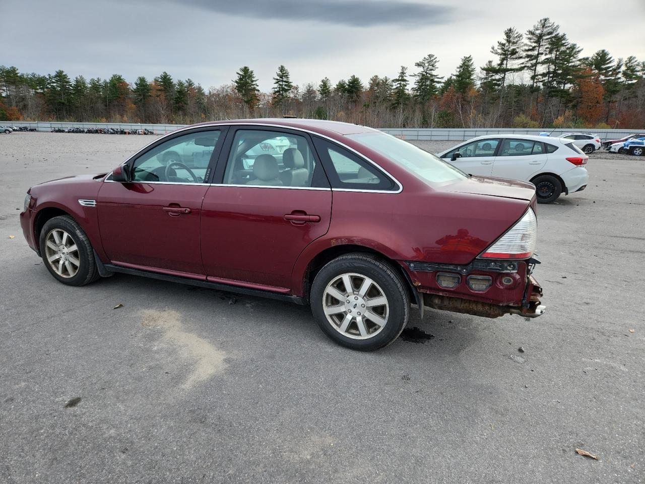 Lot #3291302447 2008 FORD TAURUS SEL