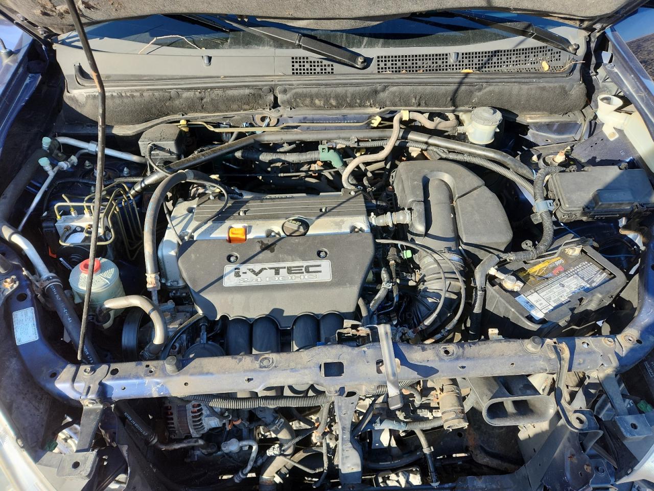 Lot #3292320271 2004 HONDA CR-V EX