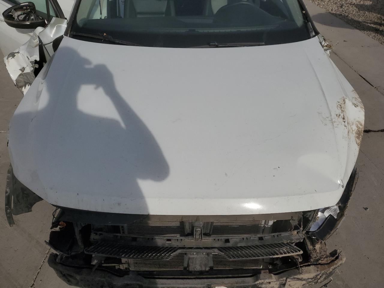 VOLKSWAGEN TIGUAN SE