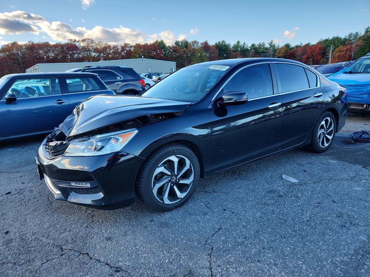 Lot #3312538609 2016 HONDA ACCORD EXL