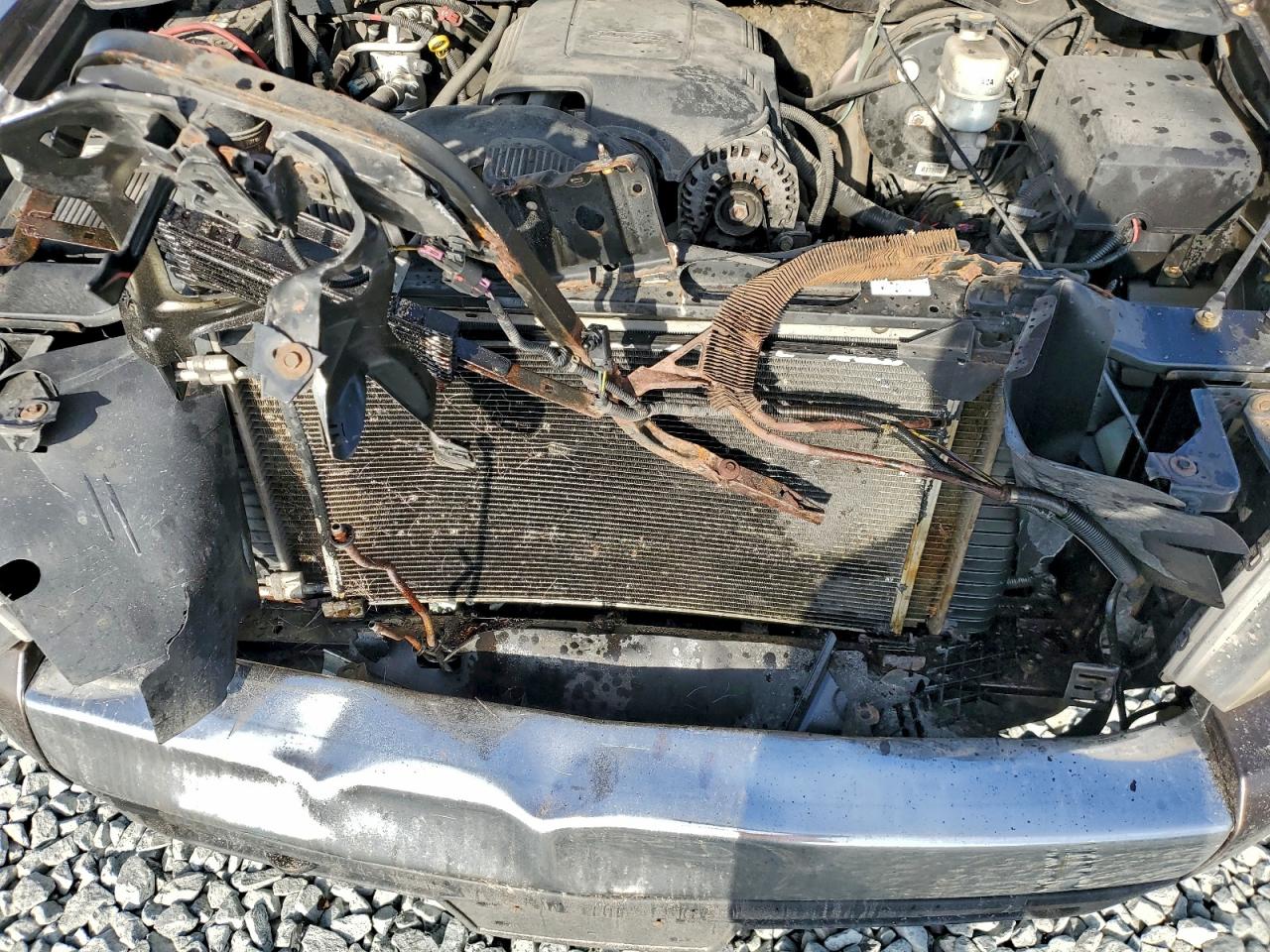 Lot #3302734082 2008 CHEVROLET SILVERADO