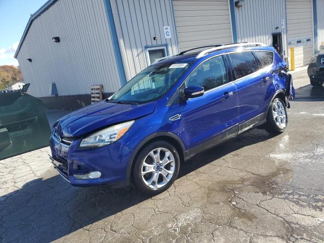 Global Auto Auctions: 2014 FORD ESCAPE TIT