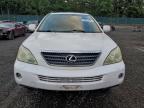 Lot #3309378975 2006 LEXUS RX 400