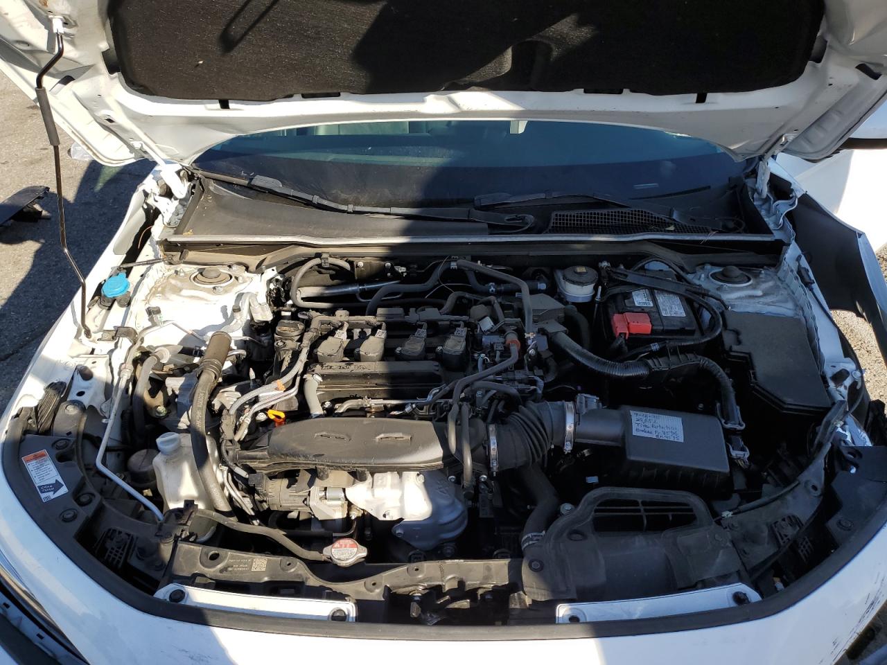 Lot #3316061241 2024 HONDA CIVIC EXL