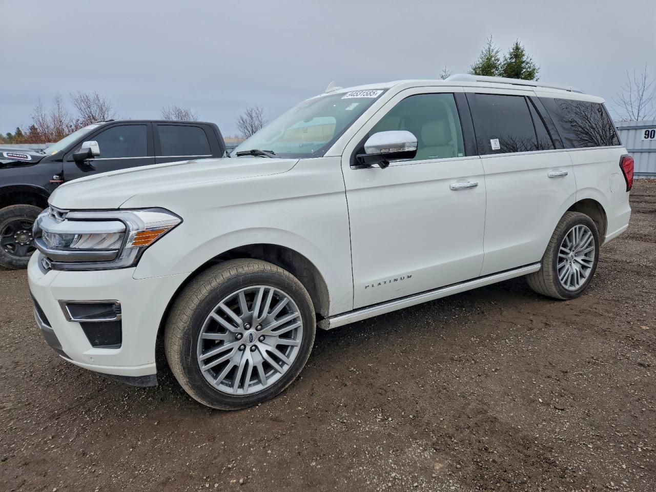 FORD EXPEDITION PLATINUM