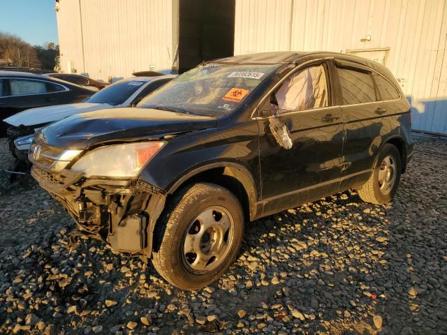 Global Auto Auctions: 2011 HONDA CR-V LX