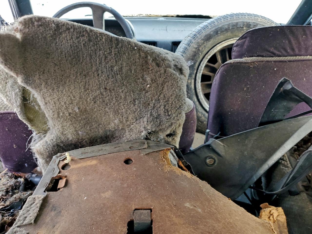 Lot #3297168879 1984 TOYOTA SUPRA