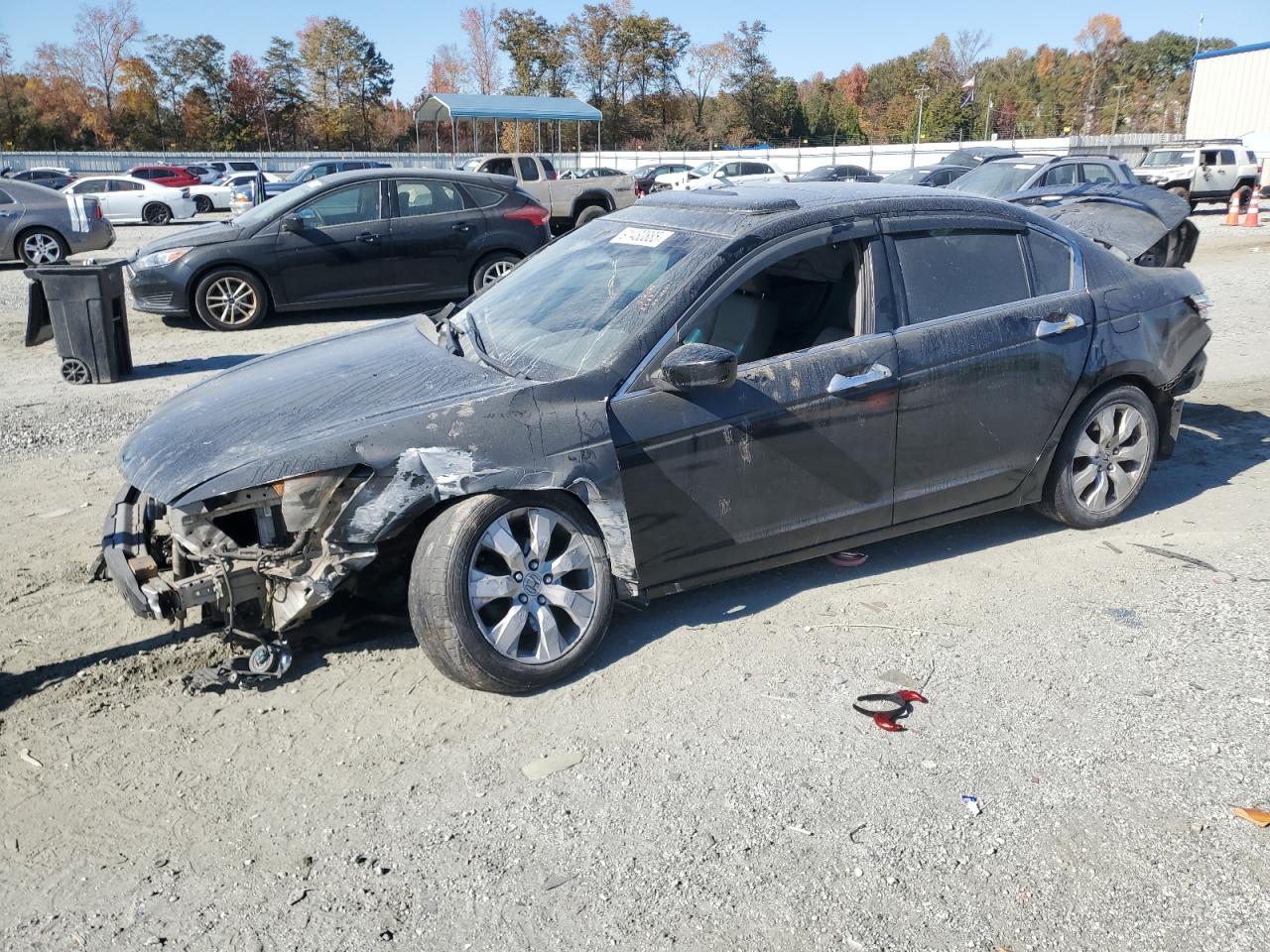 Lot #3285627281 2008 HONDA ACCORD EXL
