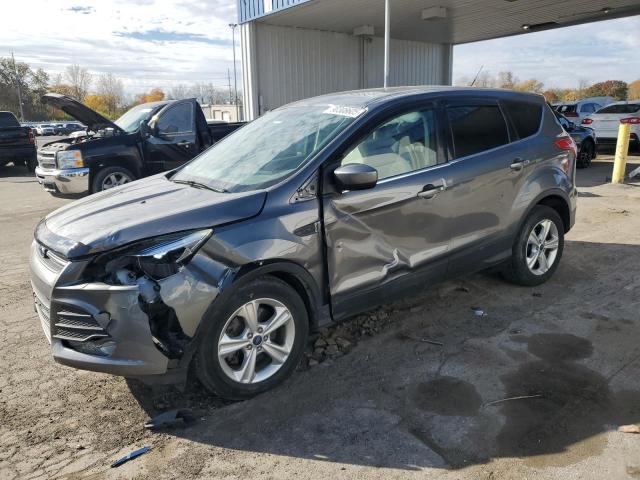 Global Auto Auctions: 2014 FORD ESCAPE SE