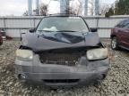 Lot #3296308455 2005 FORD ESCAPE XLT