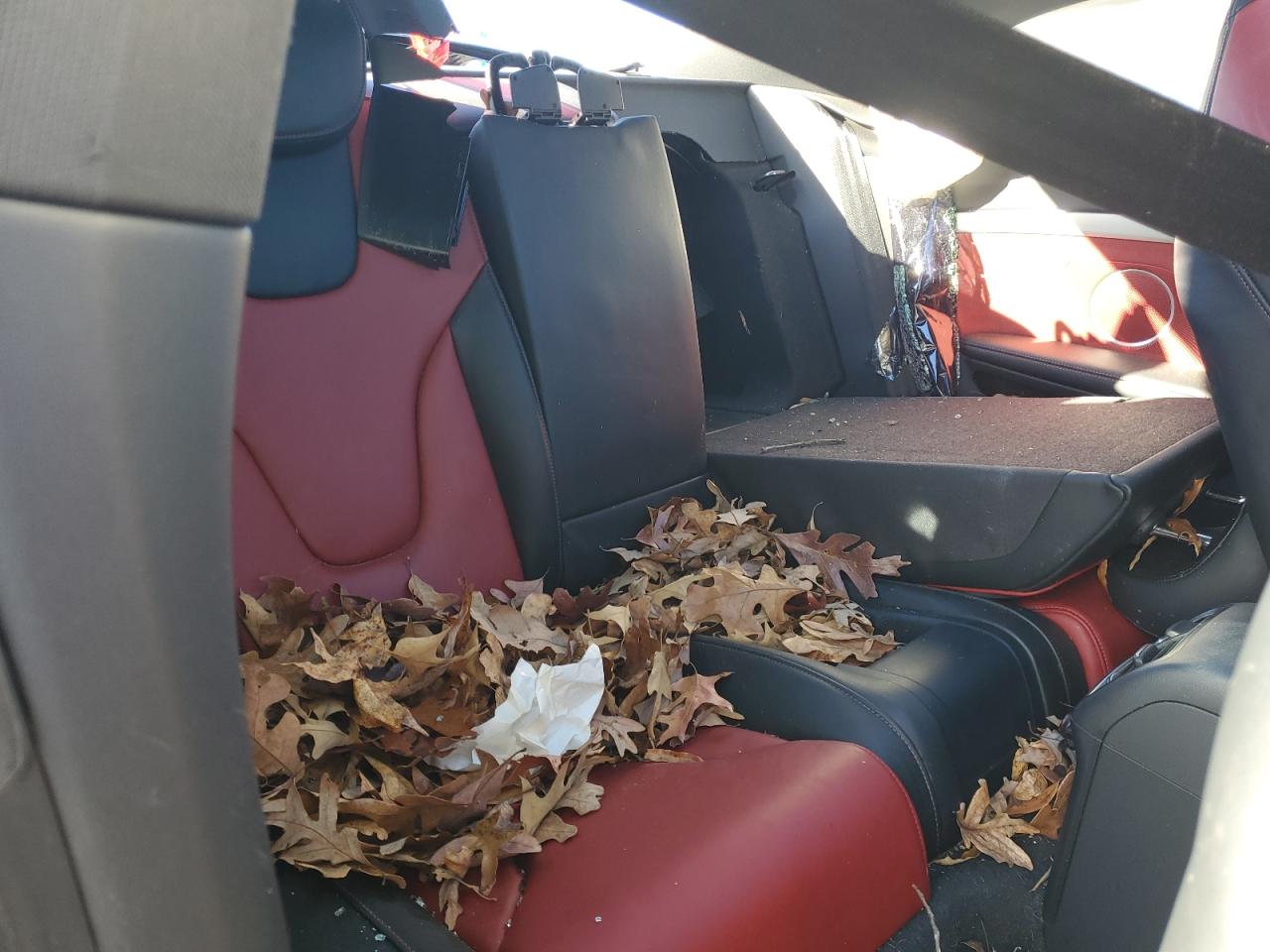 AUDI S5 PREMIUM PLUS