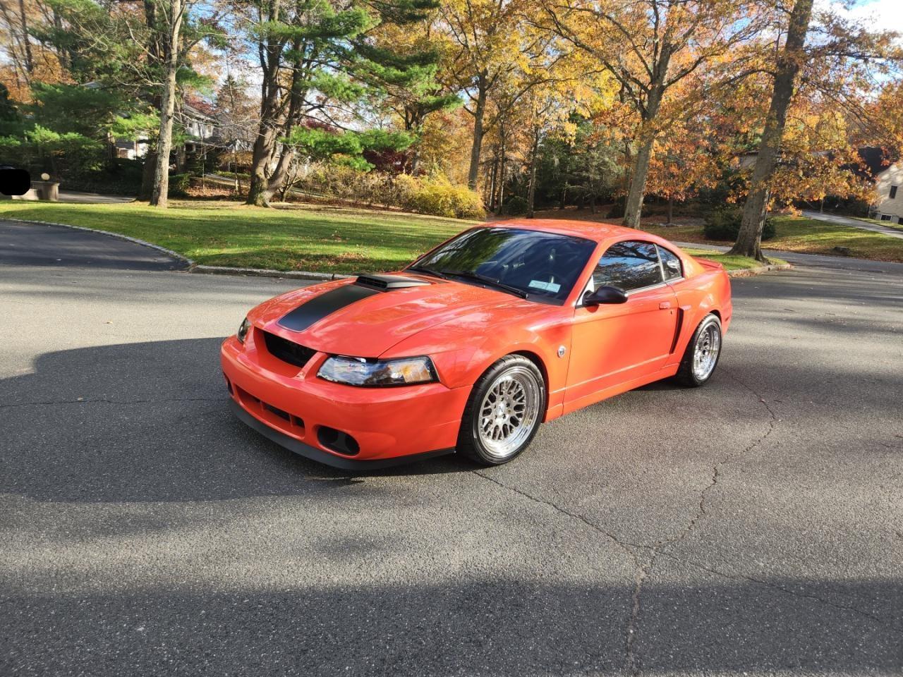 Lot #3281401993 2004 FORD MUSTANG MA