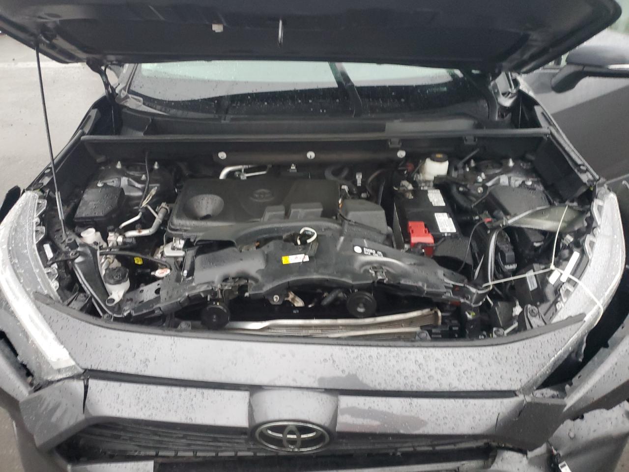 TOYOTA RAV4 XLE PREMIUM