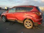 Lot #3294290887 2014 FORD ESCAPE SE