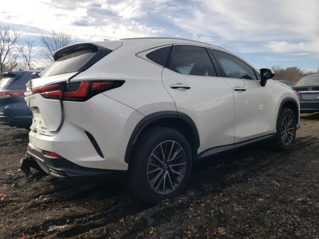 2024 LEXUS NX 350 PRE #3311461250