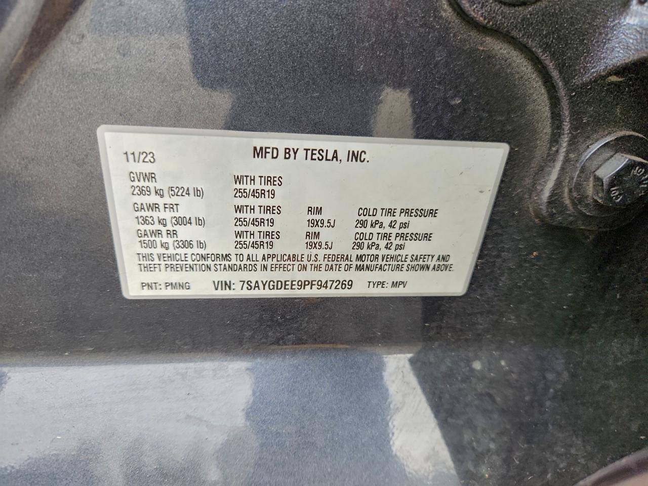 TESLA MODEL Y