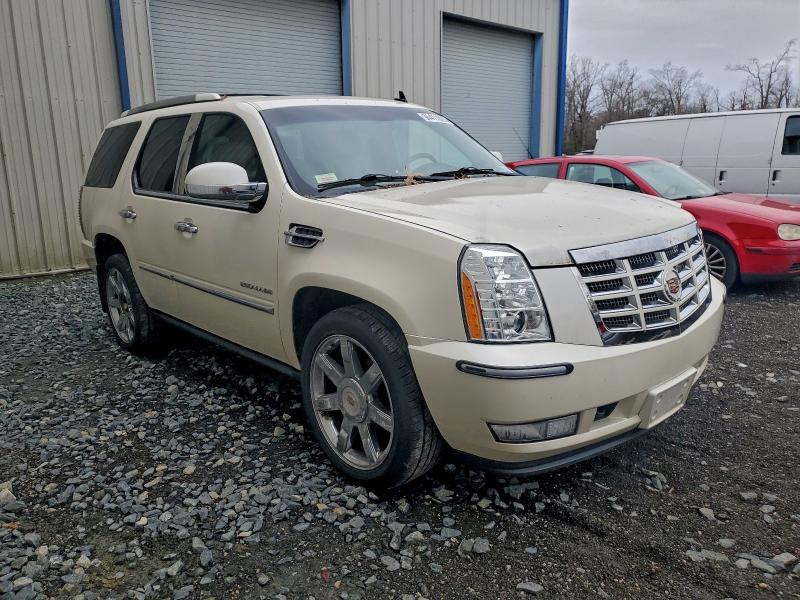 2011 CADILLAC ESCALADE P #3297055538