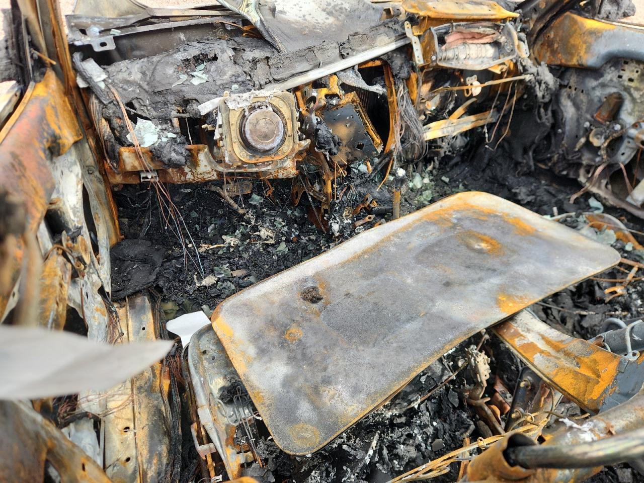 Lot #3303072768 1995 TOYOTA COROLLA LE