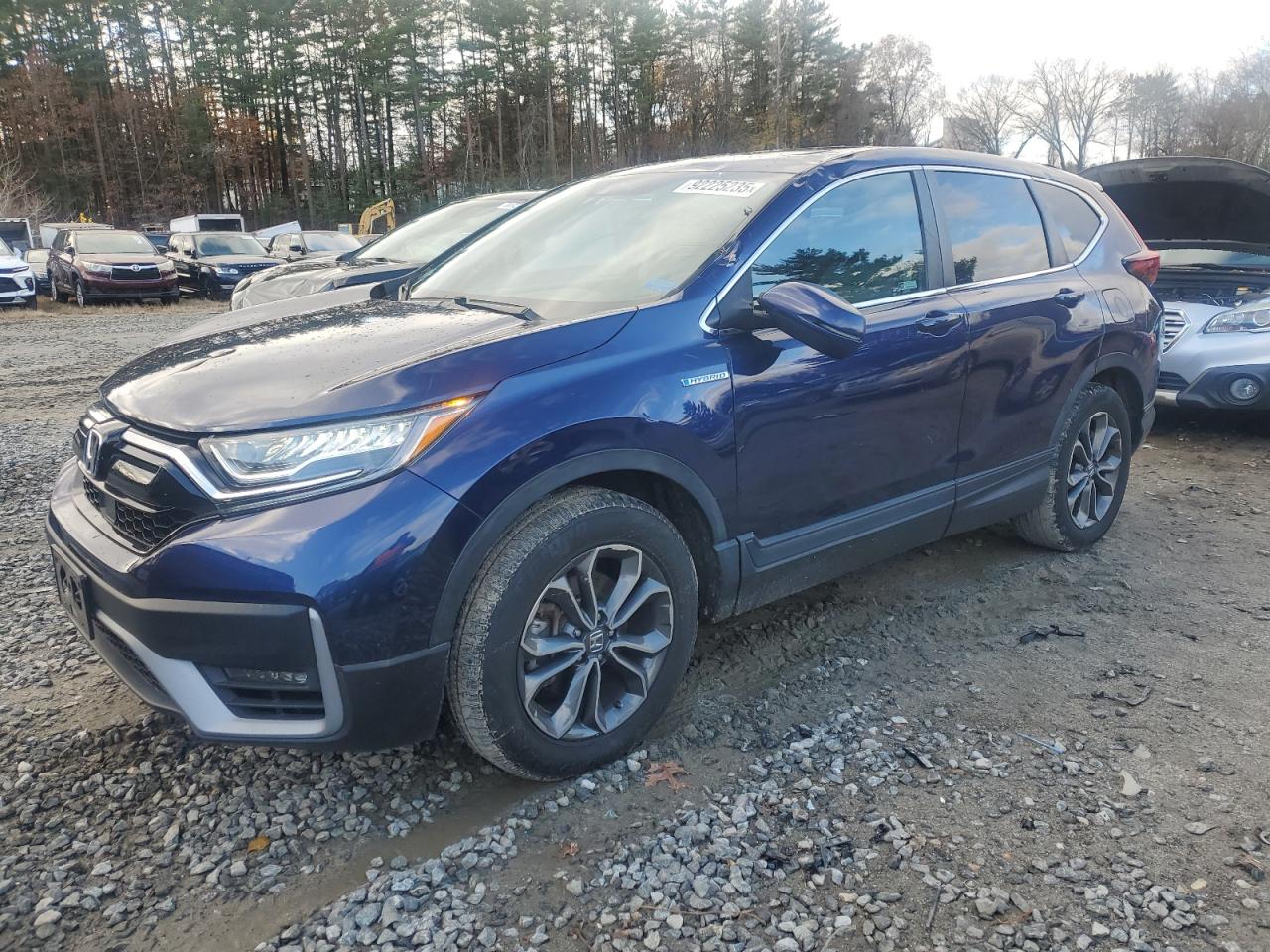 HONDA CR-V EX