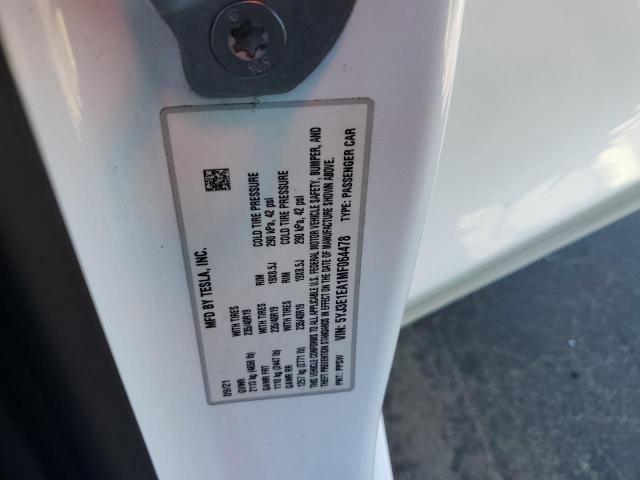 2021 TESLA MODEL 3 #3302853916