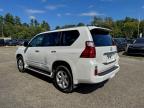 Lot #3300173813 2012 LEXUS GX 460