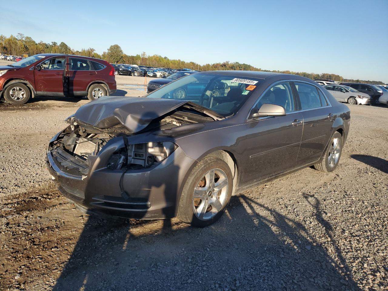 CHEVROLET MALIBU 1LT