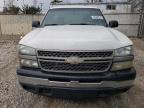 Lot #3294477494 2007 CHEVROLET SILVERADO