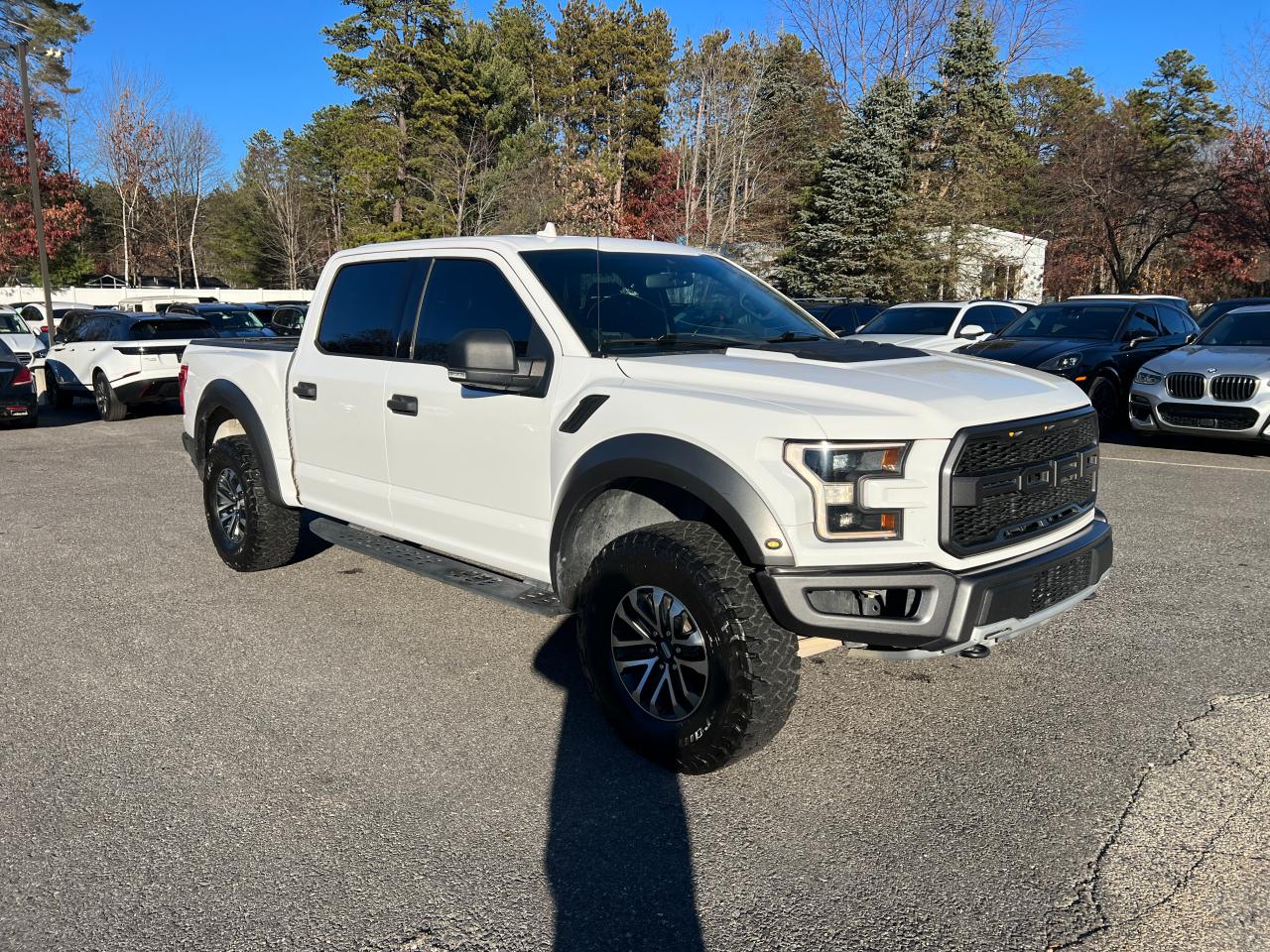 FORD F-150 RAPTOR