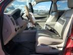 Lot #3296086837 2009 FORD ESCAPE XLT