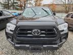 Lot #3294432504 2023 TOYOTA TACOMA ACC