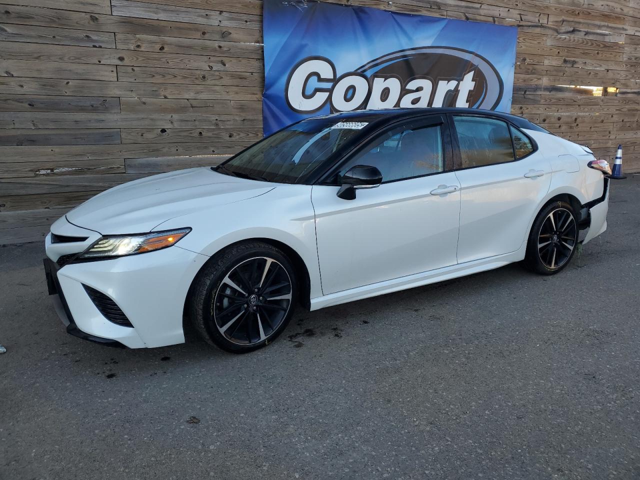 Lot #3316726406 2019 TOYOTA CAMRY XSE